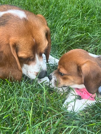 Holly Giordano photo 1