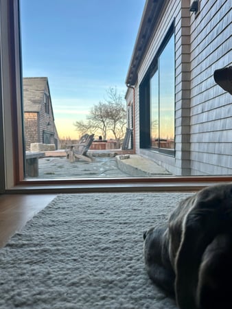 Julie Setterlund photo 11