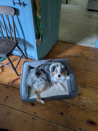 Jeff Anderson photo 2