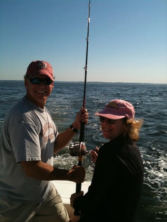 Diane Stevens photo 6