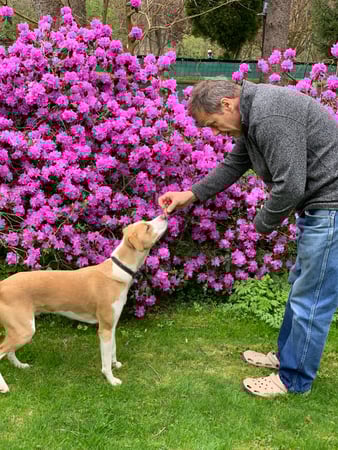 Jennifer (Jenny) Holmes photo 2