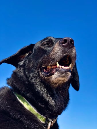 Stephanie McNair photo 1