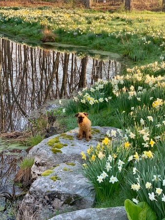 Tony Cutugno photo 6