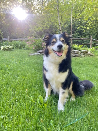 Stephanie Rapisarda photo 2