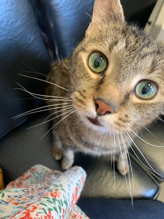 Michele Petrucelli, M.D. photo 6