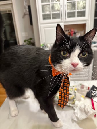 Michele Petrucelli, M.D. photo 9