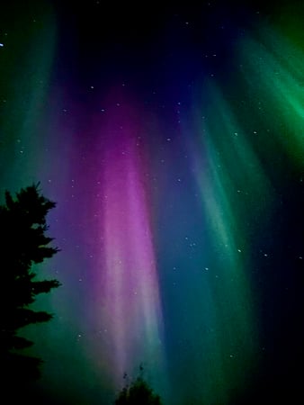 Lorraine Amaral photo 6