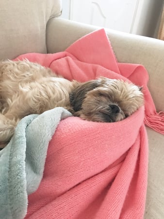 Erika Raffles photo 12