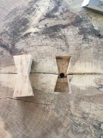 David Mallison photo 8