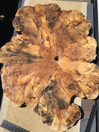 David Mallison photo 7