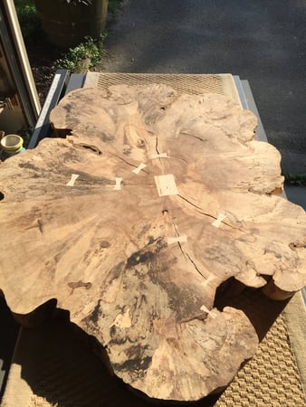 David Mallison photo 9