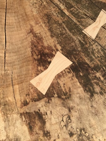 David Mallison photo 11