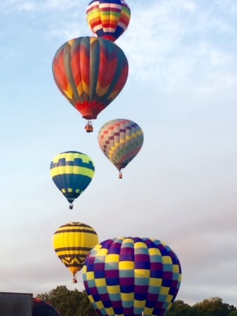 Marissa McCue photo 14