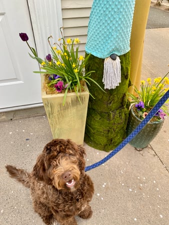 Nikki Travaglino photo 7