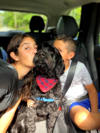 Alexis Lucente photo 5