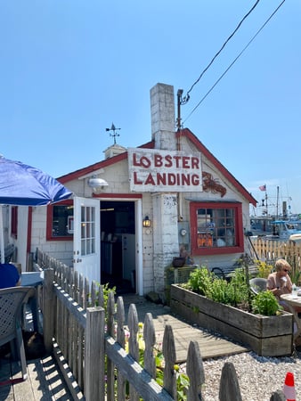 Christina Bellantoni photo 3