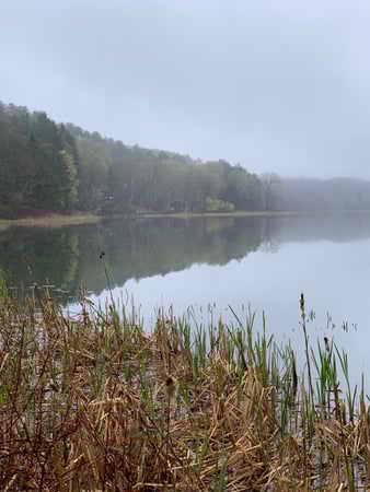 Gladys Montgomery photo 5