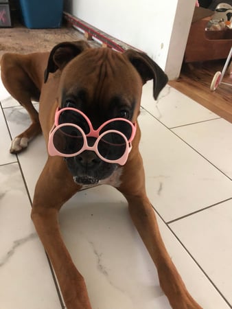 Jordana Fournier photo 5