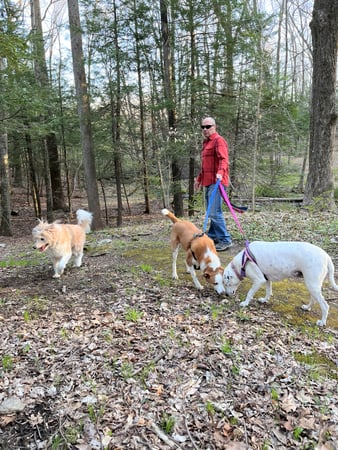 Laura Ancona photo 14