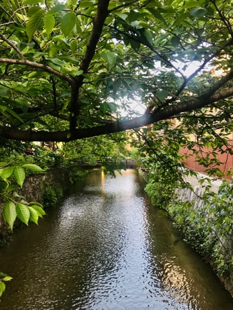 Samira Malek photo 5