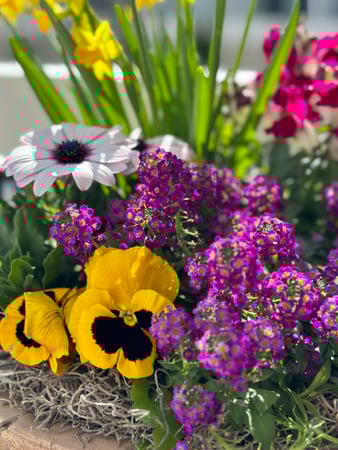 Katie Marcon photo 14