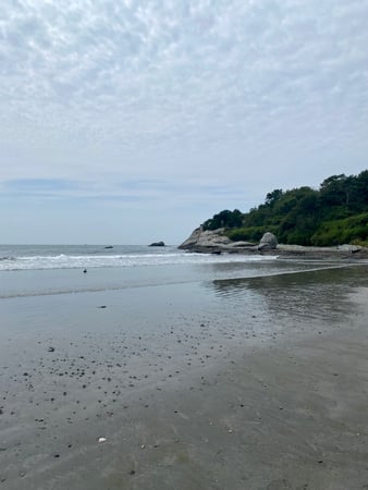 Christina Bellantoni photo 21