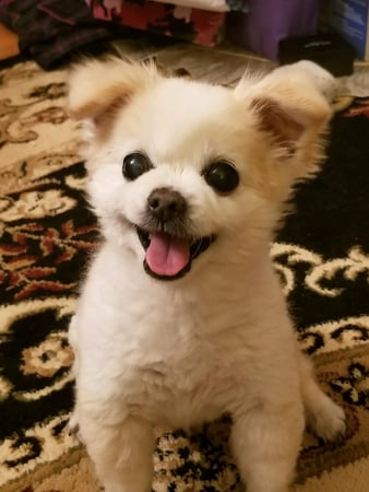 Diane Garner photo 1