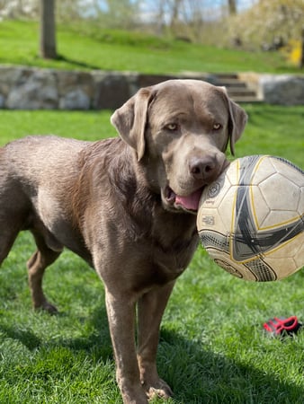 Julie Setterlund photo 5