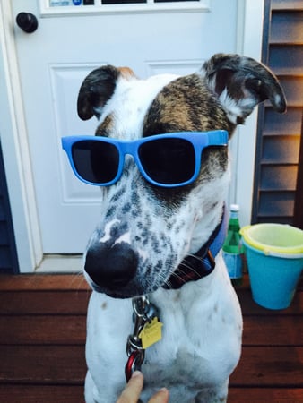 Anthony Lando photo 6