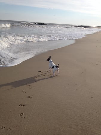 Anthony Lando photo 7