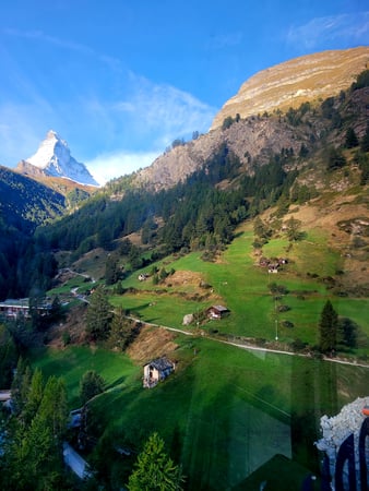 Carolyn Greer photo 5