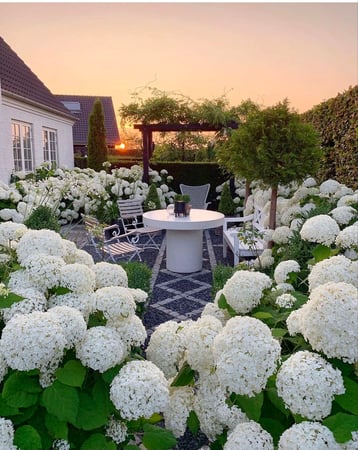 Christy Muller photo 6