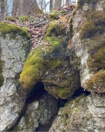 Kristin Clayborne photo 2