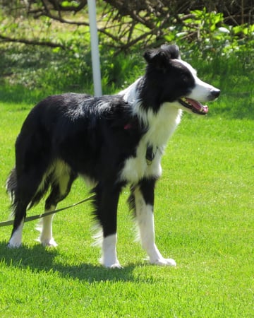 Dottie MacRitchie photo 7