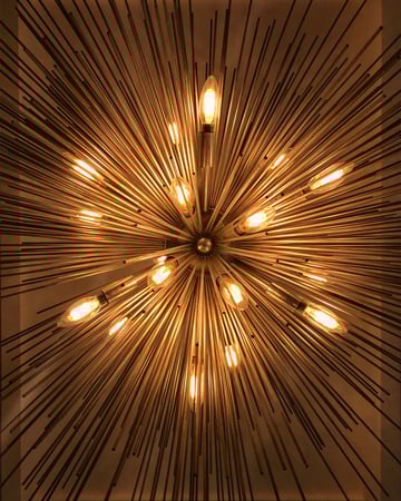 Lily Stelluti photo 1