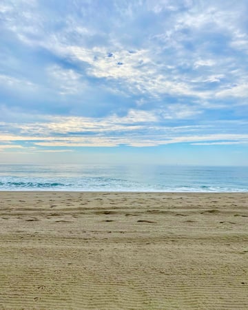 Allyson Sullivan photo 2