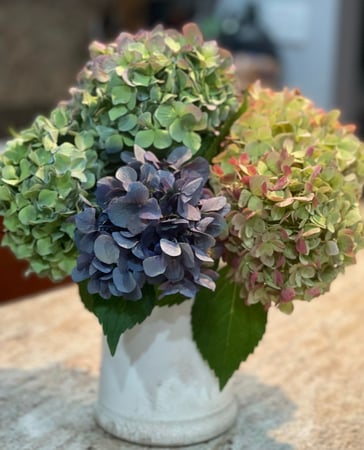 Kristie Perry photo 4