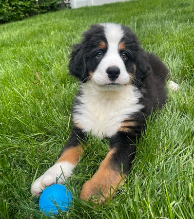 Lori Calamari photo 2