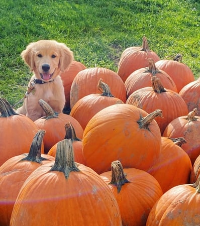 Monika Pietras photo 2