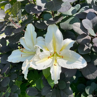 Kristin Clayborne photo 7