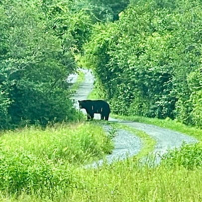 Kristin Clayborne photo 5