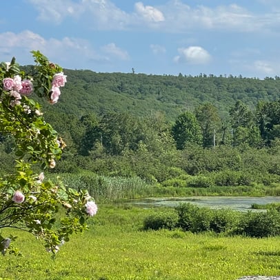 Kristin Clayborne photo 4