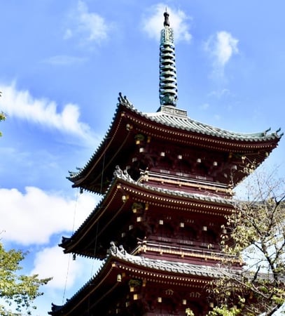 Alexey Gavrilov photo 9