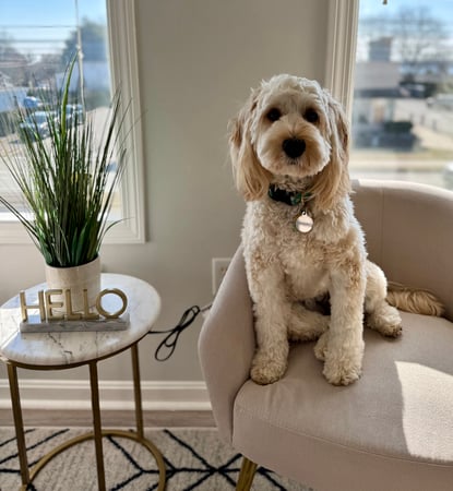 Heather Sawyer photo 15