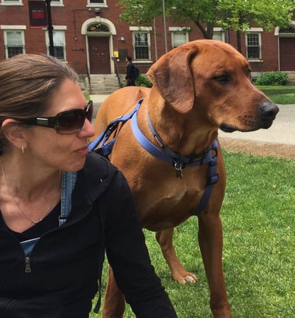 Sue Cohn Darmon photo 6