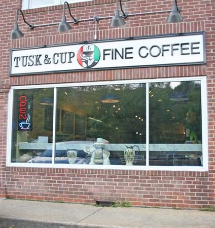 Laura Ancona photo 8