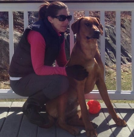 Sue Cohn Darmon photo 2