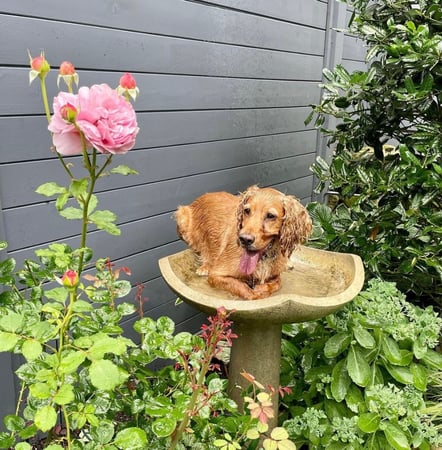 Loretta Rapisardi photo 15