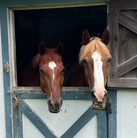 Michael Foley photo 4