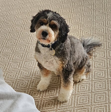 Molly O'Brien Watkins photo 5